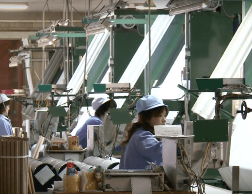 Organic Cotton Supplier - Osaka, Japan